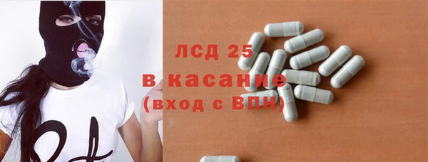 гашик Михайлов