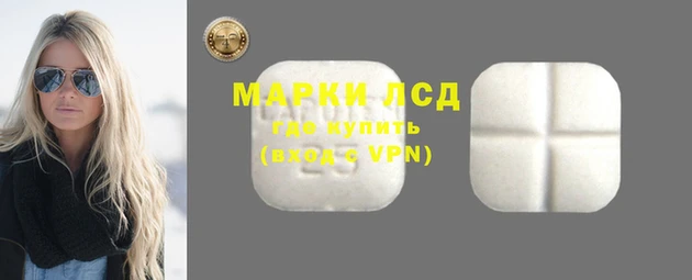ECSTASY Медвежьегорск