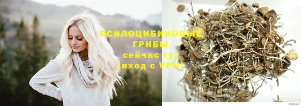 прущий лед Медногорск