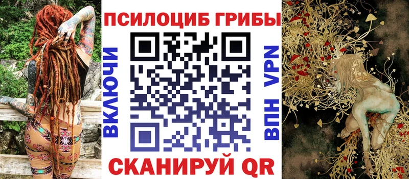 Псилоцибиновые грибы Psilocybine cubensis  цена наркотик  Райчихинск 